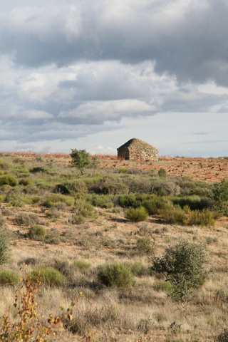 Viñedos en Fermoselle